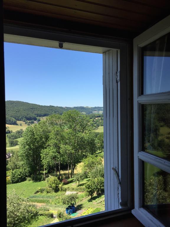 Auberge Hotel De Tournemire - Cantal Экстерьер фото